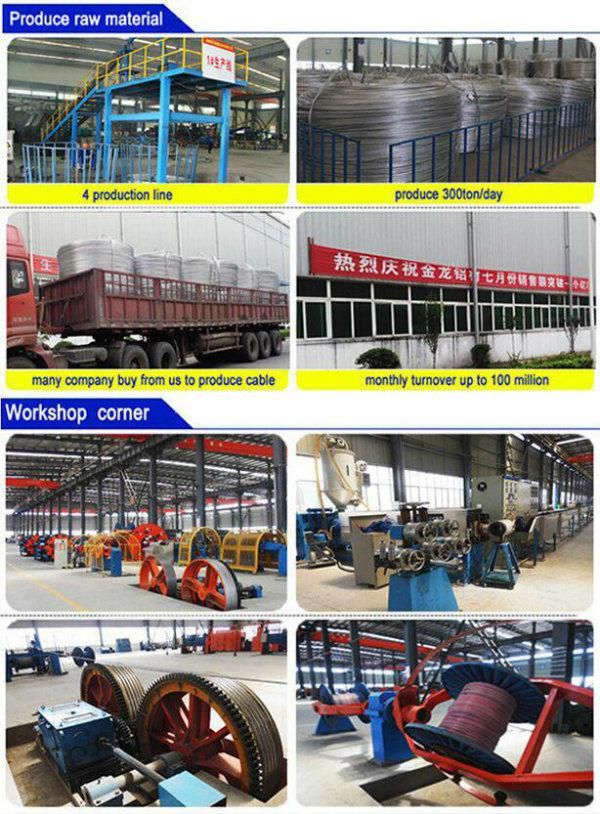 ASTM Standard AAC All Aluminum Conductor of Electric Conductors