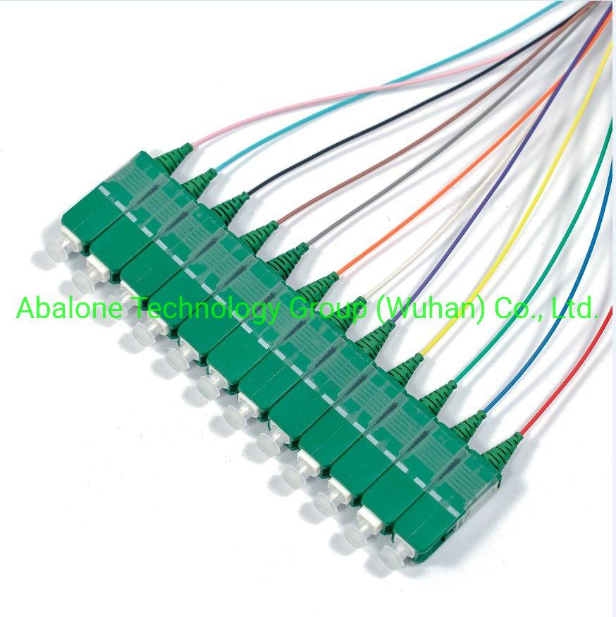 Fiber Optic Pigtails Sc/APC 12 Core 2.0mm Singlemode Cable Pigtail and Jumper