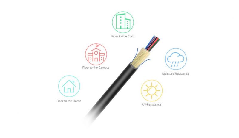 8 Fibers Custom Indoor/Outdoor Single Mode Fiber Optic Pre-Terminated Assembly