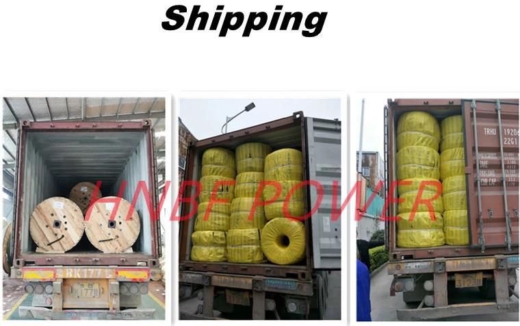 Overhead Bare Stranded Aluminum Conductor Steel Reinforced ACSR Conductor Strand Wire Electrical Cable