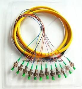 Sm Fiber Optic Pigtail (Multi-cores connector FC/APC 0.9mm 12 Cores)