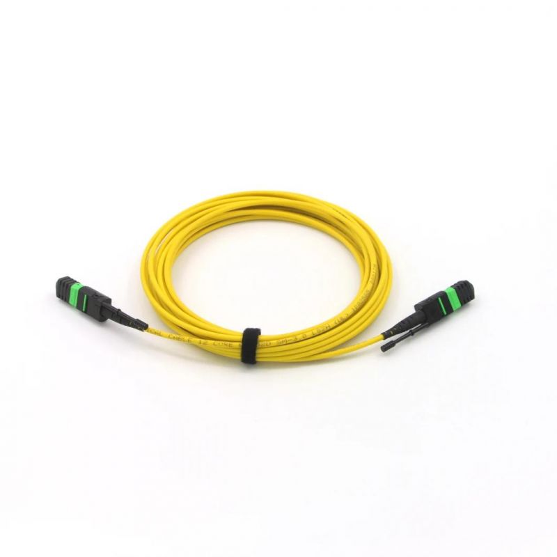 MPO-MPO Ribbon Cable for Fiber Integration