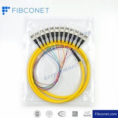 FTTH Single Mode 4 6 8 12 24 48 96 Core Distribution St Upc APC Fan-out Bundle Fiber Optic Pigtail