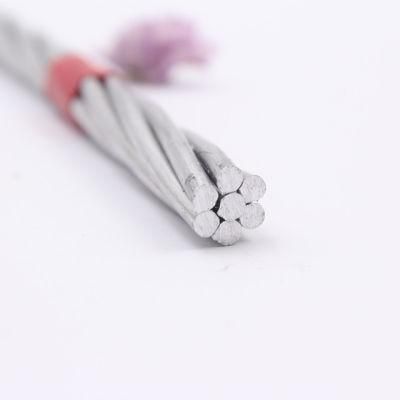Chinese Top Quality AAAC Bare Conductor for Power Transmission