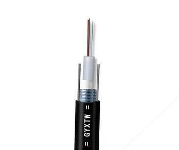 China Manufacturer 12 Core G652D Single Mode Armoured Fiber Optic/Optical Cable