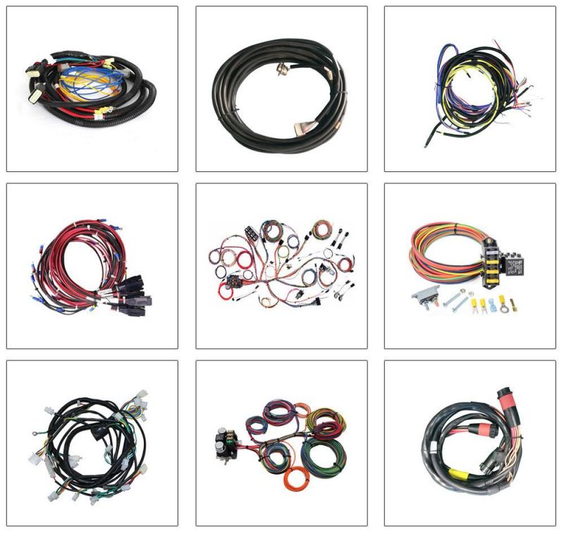 Factory Direct Sale Cable Assembly Wire Harness with Protection Tube