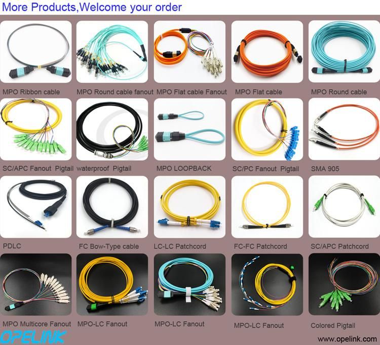 Multimode 12 Fibers MPO-LC Fanout Fiber Optic Patchcord