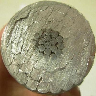 Aluminum Conductor Steel Reinforced ACSR Conductor Turkey 795mcm