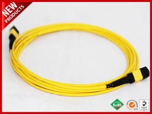 12 Fibers Singlemode MTP Trunk Fiber Optic Cable Yellow Jacket