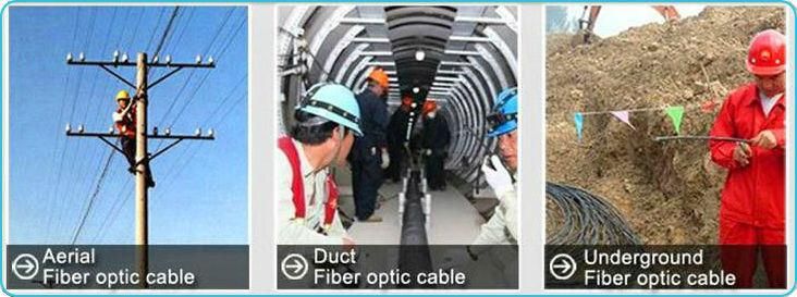 FRP Glass Fiber Optic FTTH Drop Wire Cable with G657A Sm 2 Fibers GJXFH Black