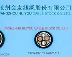 3*35+1 mm2 Oxygen-Free Copper XLPE Insulated Steel Tape Armored PE Sheathed LV Power Cable
