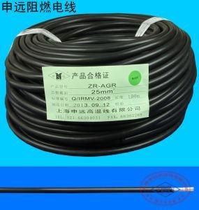 Flexible Tinned or Red Copper Double Silicone Rubber Insulation Fg4g4 Wire