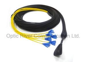 FTTH/Pre-Terminated Cable/ Sc-Sc 24f Sm with Pulling Eye