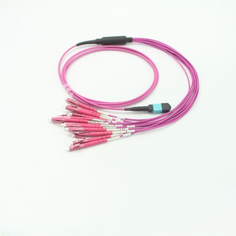 LC-MPO (Female) Om4 Fiber Optic Multimode Multicores 12 Cores 2.0mm Fanout Patch Leads with 5 Meters