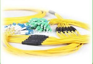 24 Core SM Distribution Fiber Patch Cord