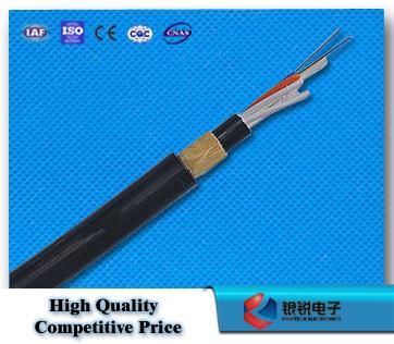 Double PE Sheath ADSS Fiber Optic Cable 24 Fibers G652D China Factory Direct Supply