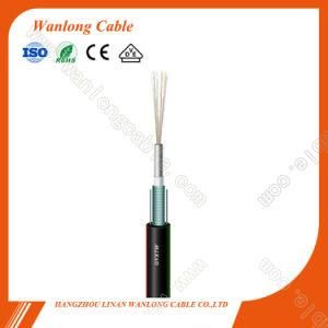 24 Core Outdoor Unitube Light-Armored Aerial Fiber Optic Cable (GYXTW)