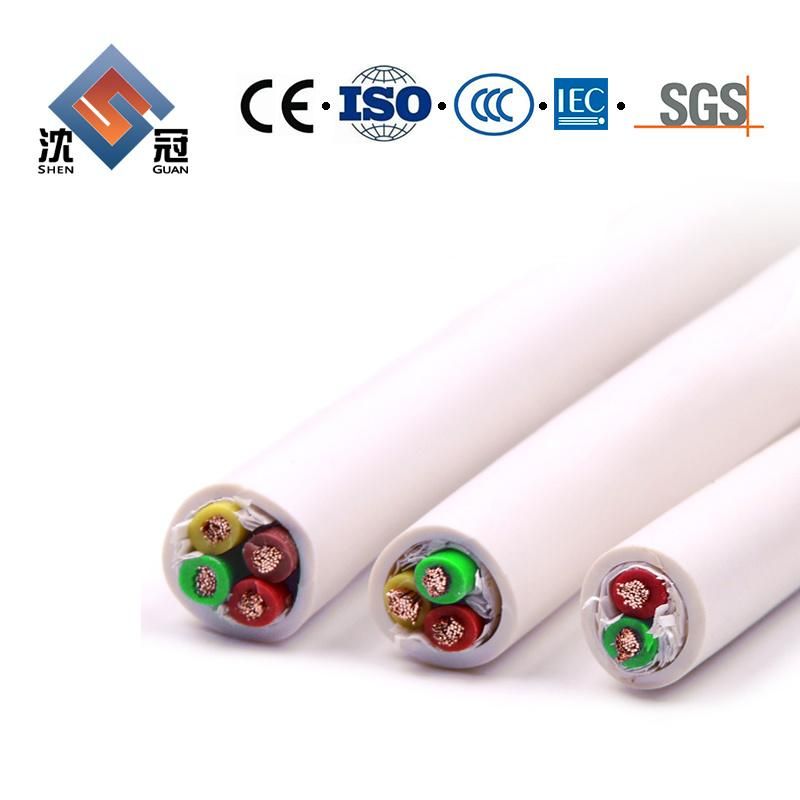 Shenguan 2X12 AWG Flat Type Dg Cable with Sunlight Resistance Copper Conductor PVC/Nylon Insulation Power Cable Factory Price Insulated Aluminum Round Wire