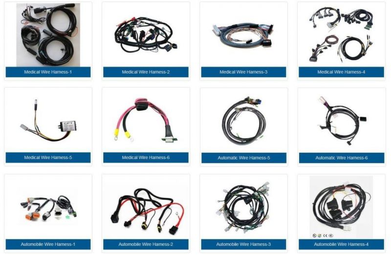 OEM Customized Assembly Custom Connector with Jst Plug Cable Wire