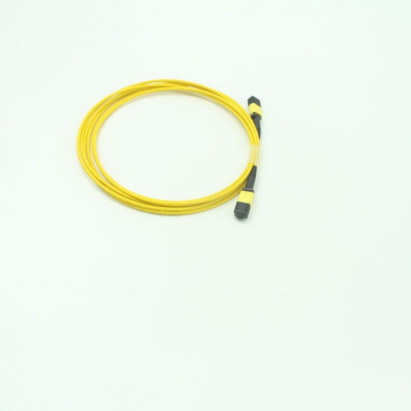 Optical Fiber Cable with MPO Connector