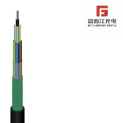 Fcj Group FTTH Drop Cable 1 Core Aramid Fiber Single Mode Multi Mode G652D G655 G657 FTTH Indoor Fibre Optic Cable