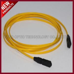 40G MPO to MPO Singlemode OS2 Fibre Optical Patch Cable