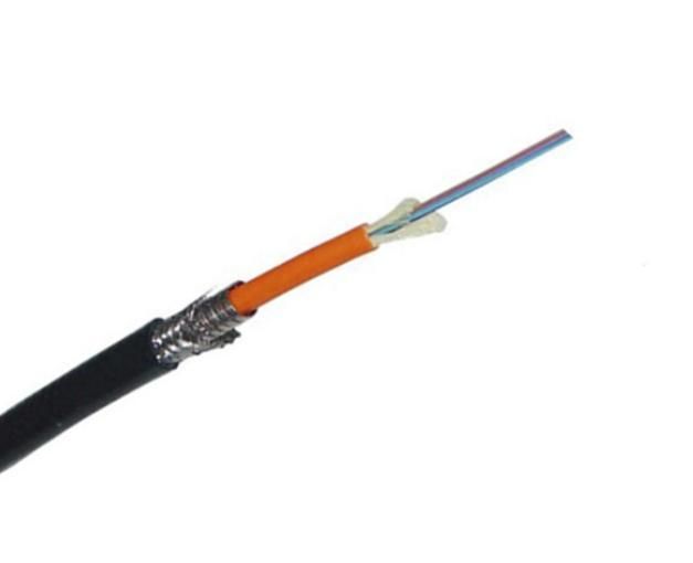 Indoor 2 Fiber Simplex Armored Optical Fiber Cable (GJSFJV)