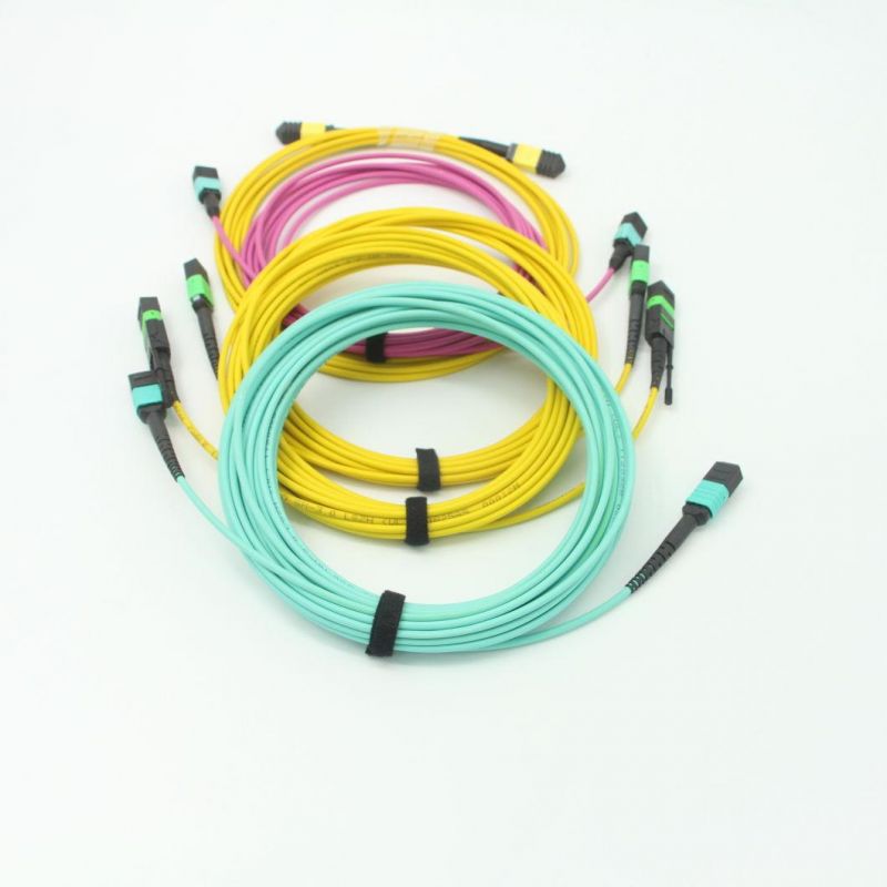LC-MPO (Female) Om4 Fiber Optic Om4 12 Cores 2.0mm Fanout Pigtails with 5 Meters