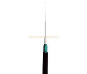 Fo Cable GYXTW 4 24 Core Single Mode Fiber Optic Cable Manufacturers OEM Fiber Optical Cable