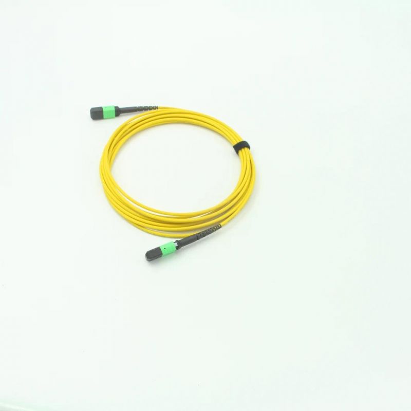 MPO (Female) -MPO (Male) Fiber Optical Patch Cable with Om5 Fiber Cable 10 Meter