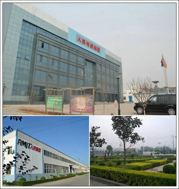 Chinese Golden Supplier AAC, AAAC, ACSR Bare Conductor