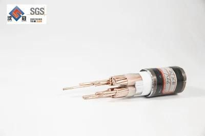 Shenguan Wire Cable Low Voltage Cable 2*0.5/0.75mm Copper Conductor Rvv Power Cable