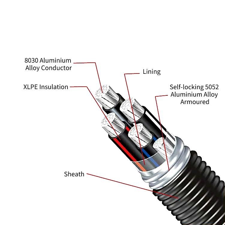 Aluminium Alloy Core XLPE Insulated Cable of Rated Voltage 0.6/1kv