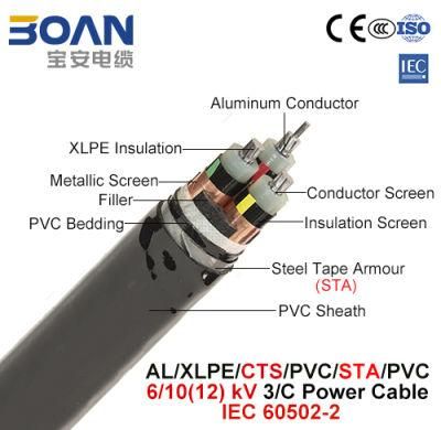 Al/XLPE/Cts/PVC/Sts/PVC, Power Cable, 6/10 (12) Kv, 3/C (IEC 60502-2)