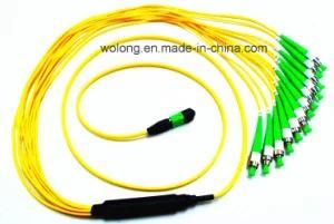 12 Core Fiber Optic MPO-FC/APC Patch Cord (2.0mm)