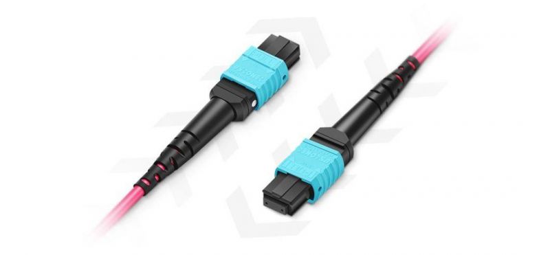 2m (7FT) MTP PRO-12 Male to MTP PRO-12 Male Om4 Multimode Elite Trunk Cable 12 Fiber Type B Plenum (OFNP) Magenta
