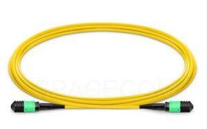 Spacecom MPO-MPO Single-Mode Optical Fiber Patch Cord LSZH