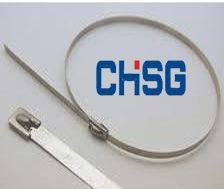 SS Cable Tie