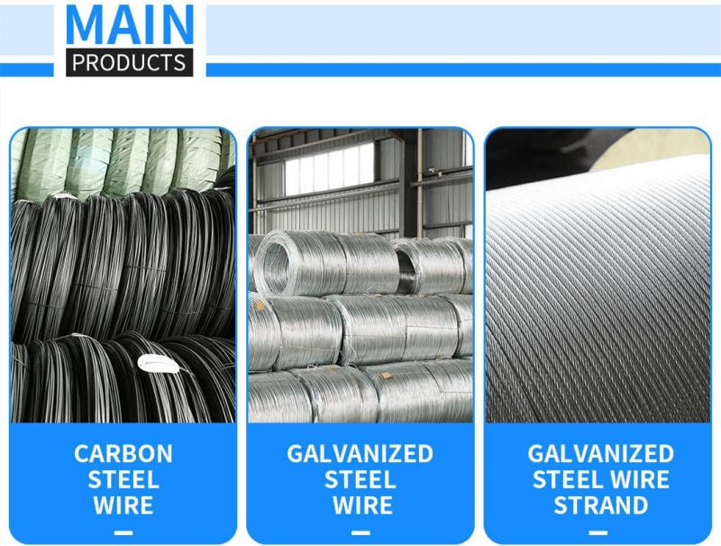 Galvanized Steel Wire Strand Steel Wire Rope for Power Industry (SGS ISO9001) --1*7 / 3.18mm
