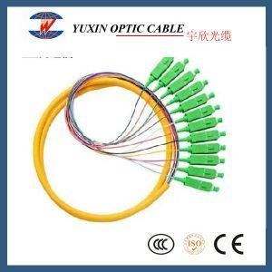 Optical Pigtail Patch Cord 12 Core Fibric Cable with Sc/APC Connector