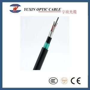 GYTA53 Armoured Double Jacket 12core 24core Rodent Resistant Cable Optic Fiber