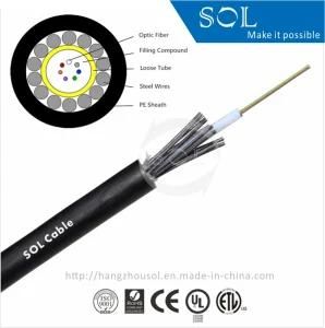 Outdoor 12cores Central Tube Fiber Optic Cable (GYXTY)