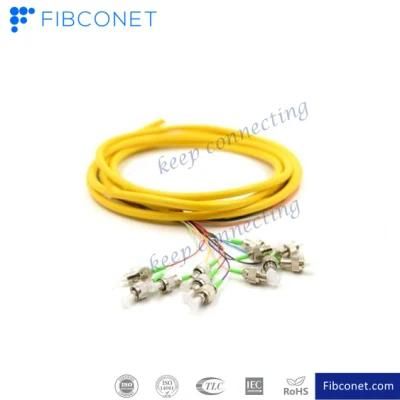FTTH FC/APC Sm 12 Core 0.9/2.0/3.0mm Fanout Fiber Optic Pigtail Fiber Pigtail