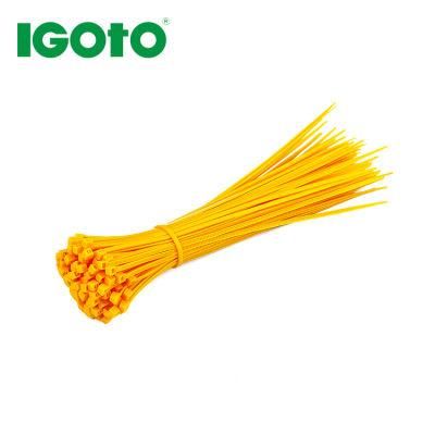 Plastic Nylon Screw Mount Zip Cable Ties with Mounting Hole Nylon Cable Ties UL Certificates