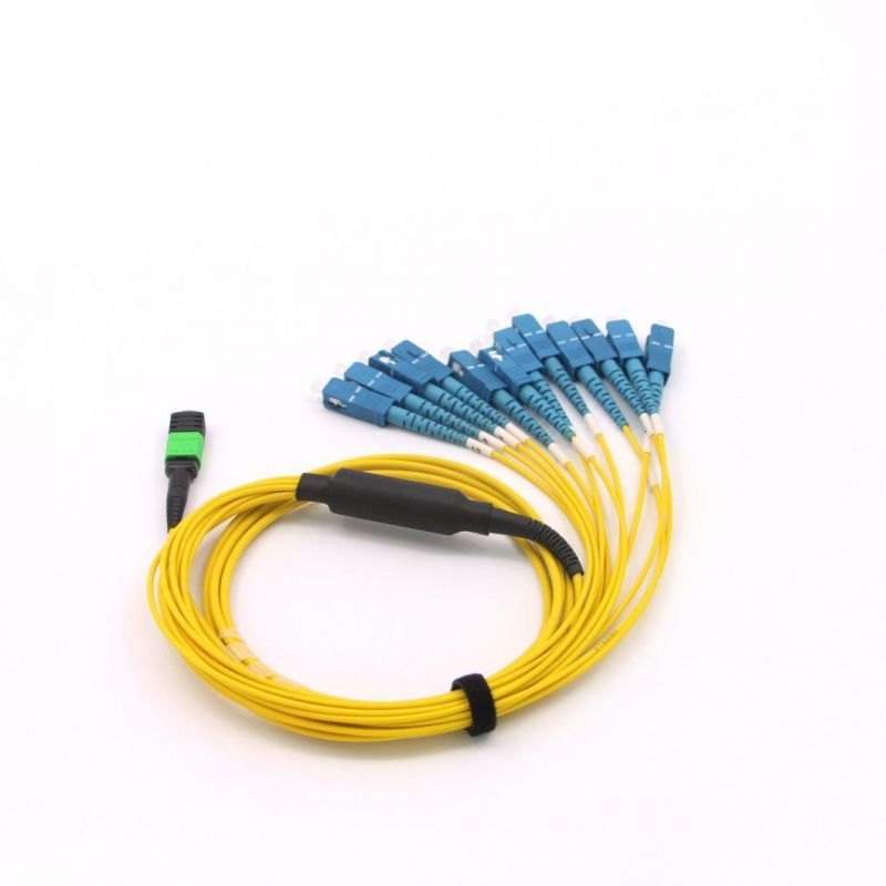 12f MPO MTP Patch Cord 10m