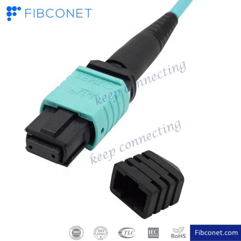 MTP 24 Core Fiber Optic Patch Cord MPO Trunk Cable Om3 Om4 Aqua Color MPO-MPO Female Patch Cord with MPO Connector