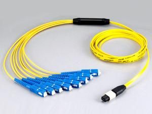MPO/MTP to LC/Sc/FC/St/MTRJ/Mu/SMA Patch Cords Om1 Om2 Om3 Om4 Rmour Mini Ribbon/Bare Ribbon Corning Fiber, MPO Cable Assembly