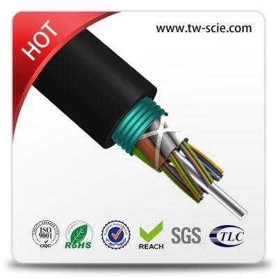24/48 Core Armored Om3 Optical Fiber Cable GYTS