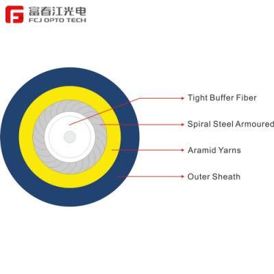 Fcj Opto Tech Indoor Distribution Double Armoured Spiral Wire Aerial Optical/Optic Fiber Communication Cable (GJSFJV)