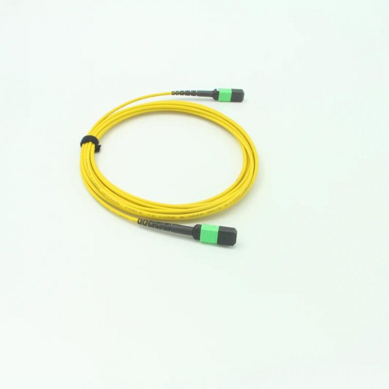 MPO (Female) -MPO (Male) Fiber Optical Patch Cable with Om5 Fiber Cable 10 Meter